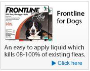 Frontline